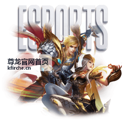 尊龙官网首页华东区域经销商门店升级案例